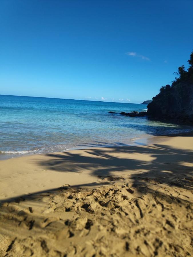 Les Galets Deshaies Exterior foto