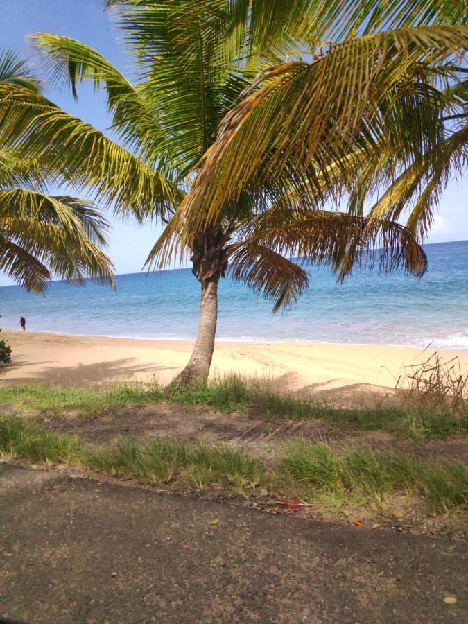 Les Galets Deshaies Exterior foto